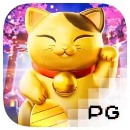 codivator: Lucky Neko